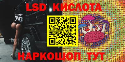 ECSTASY Кулебаки
