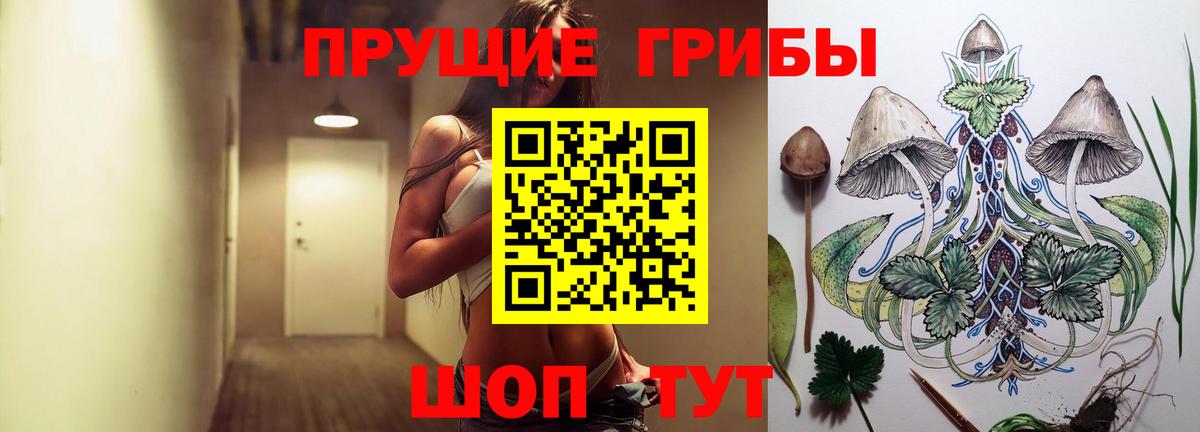 Псилоцибиновые грибы Magic Shrooms  Вход с VPN  Кисловодск 